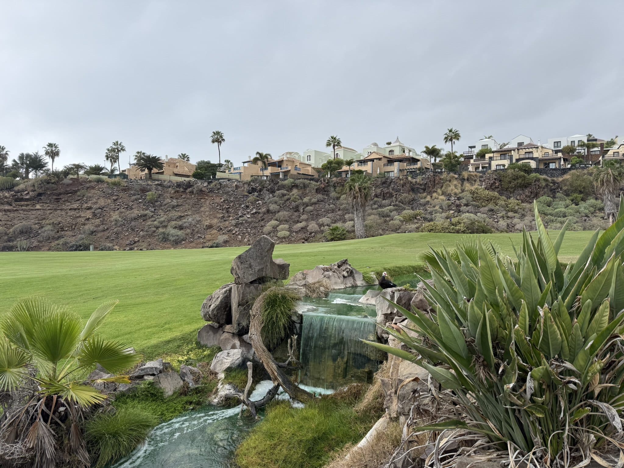 Golf v okolí Costa Adeje