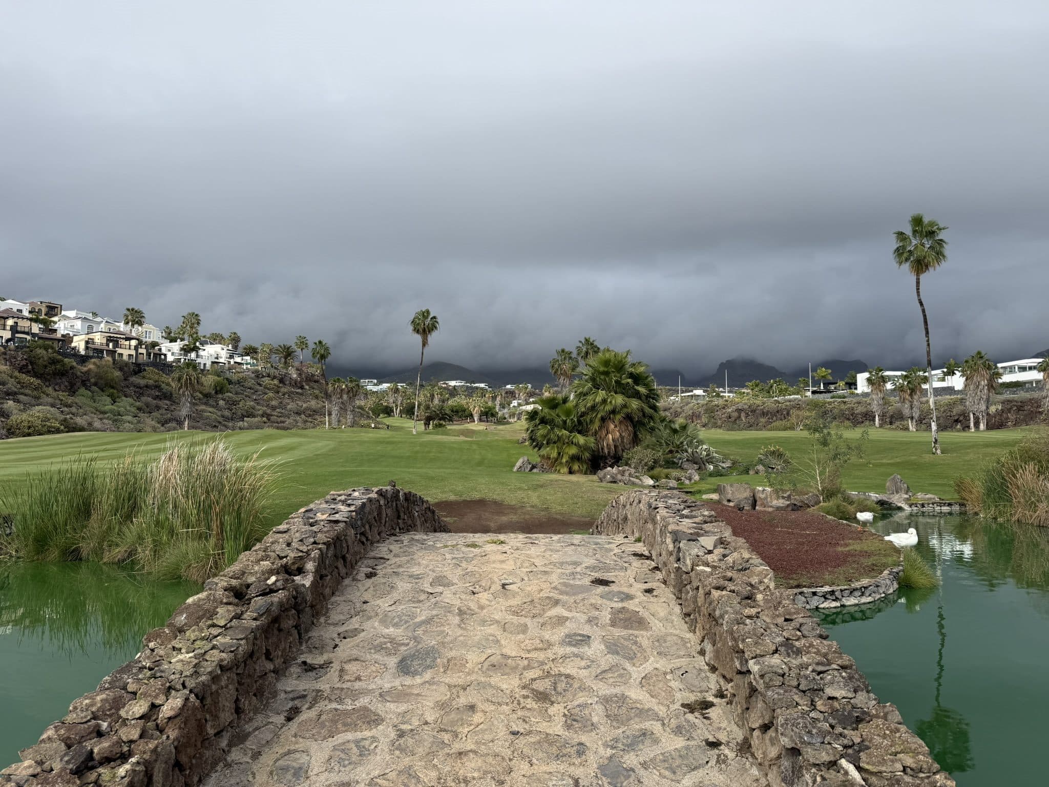 Golf v okolí Costa Adeje
