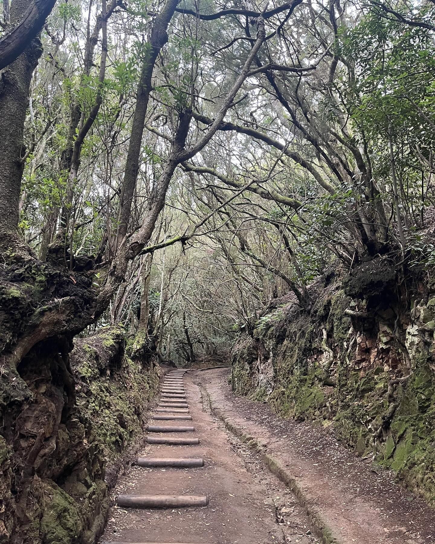 Výlety po Tenerife