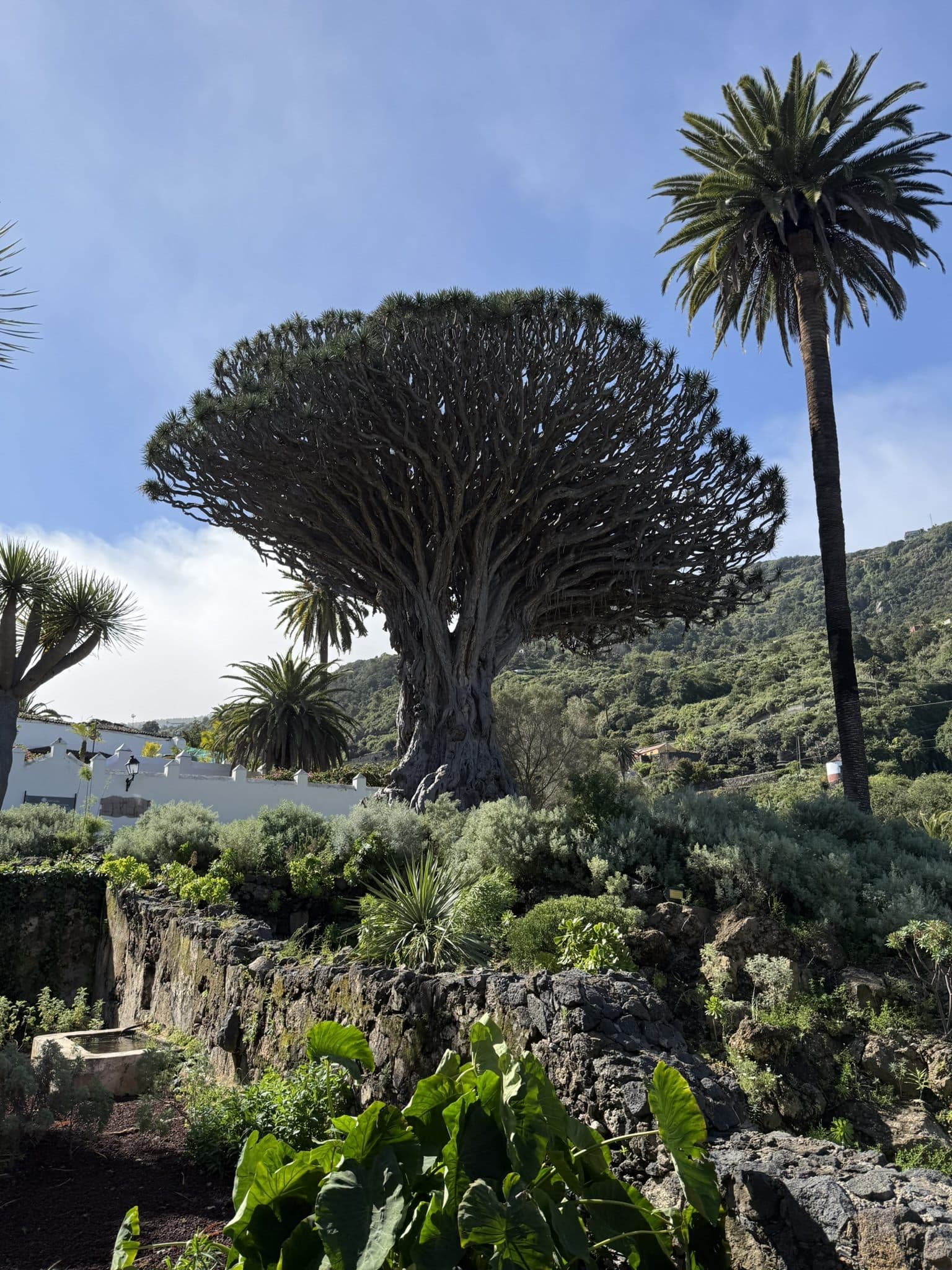 Výlety po Tenerife