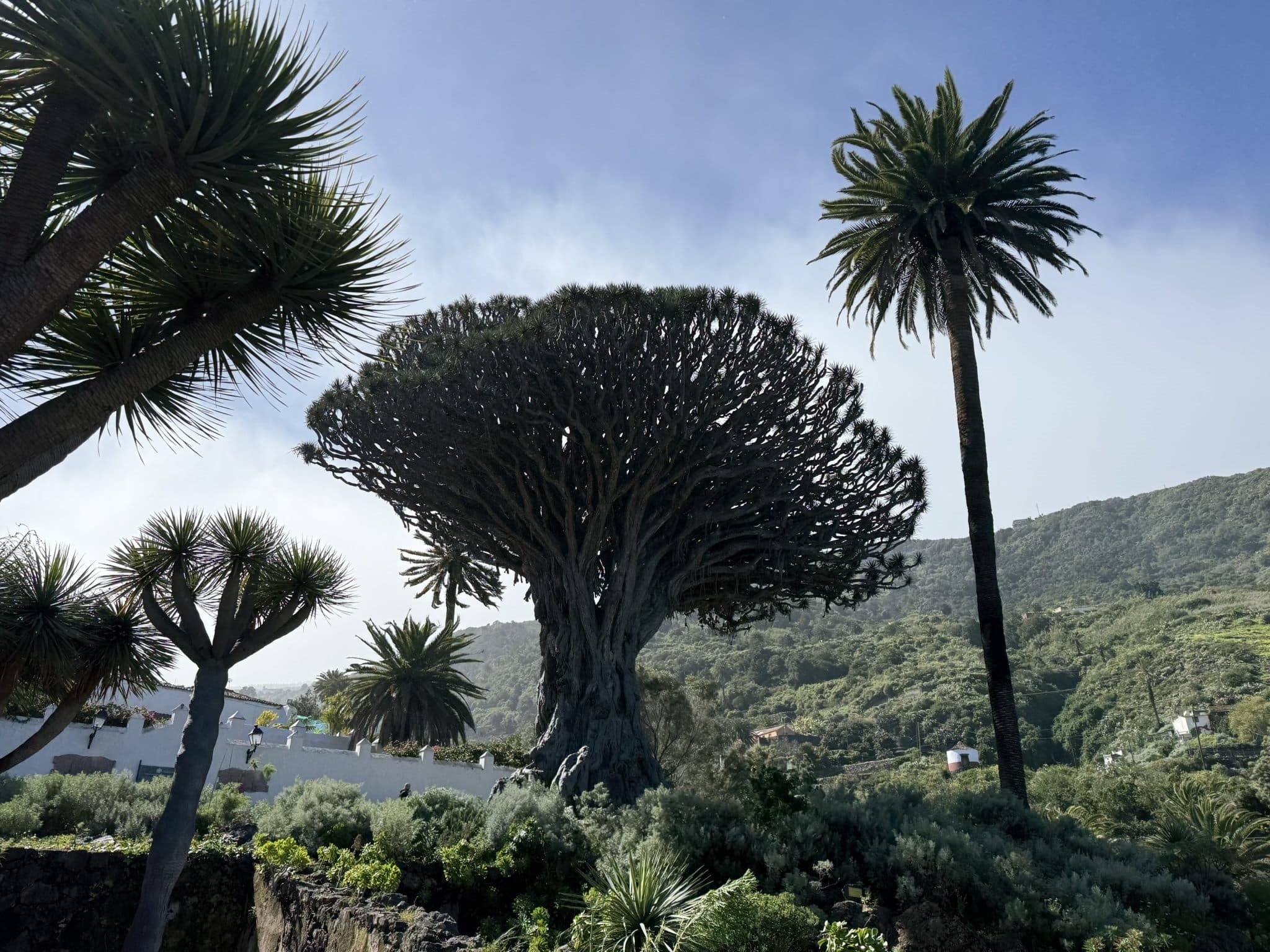 Výlety po Tenerife