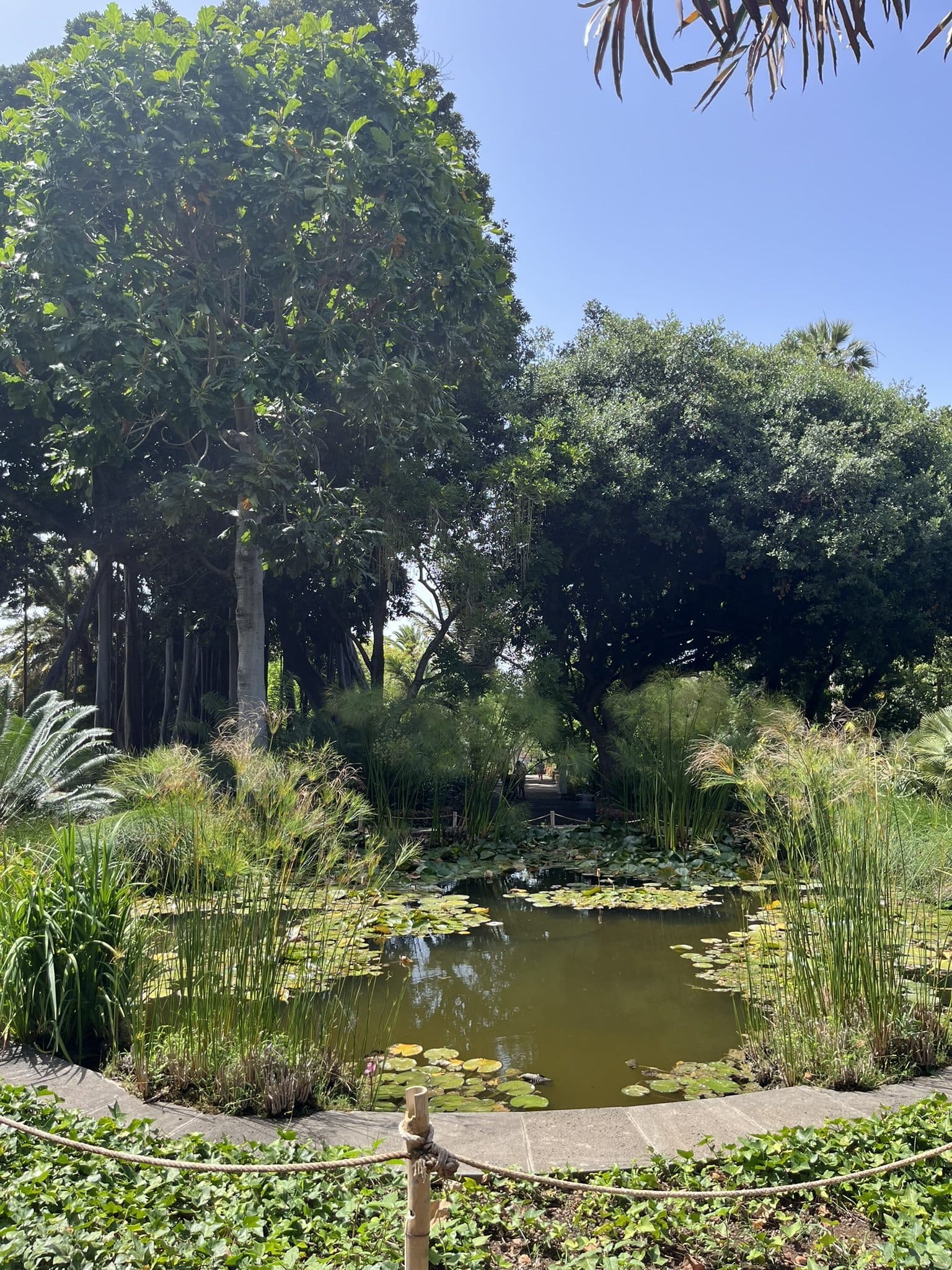 Výlety po Tenerife