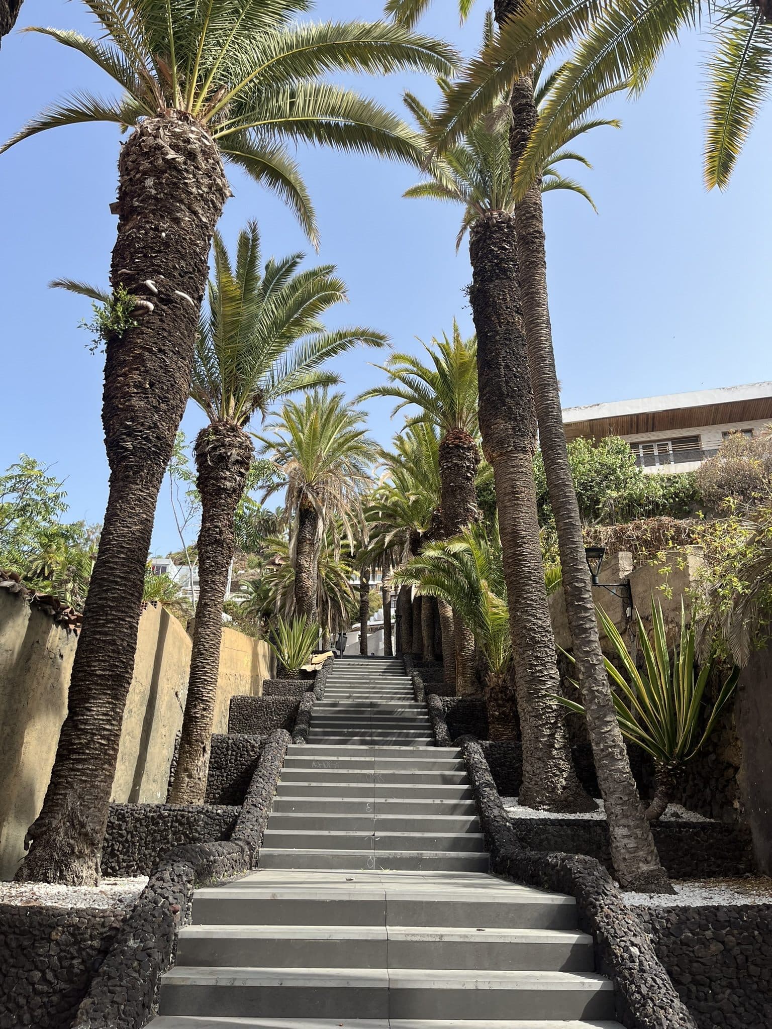 Výlety po Tenerife