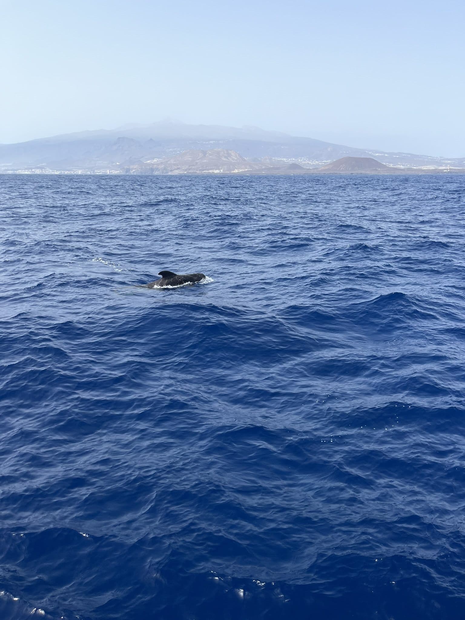 Výlety po Tenerife